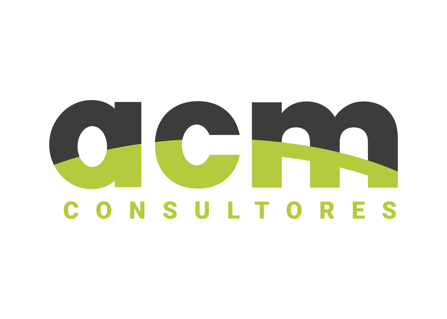 ACM Consultores